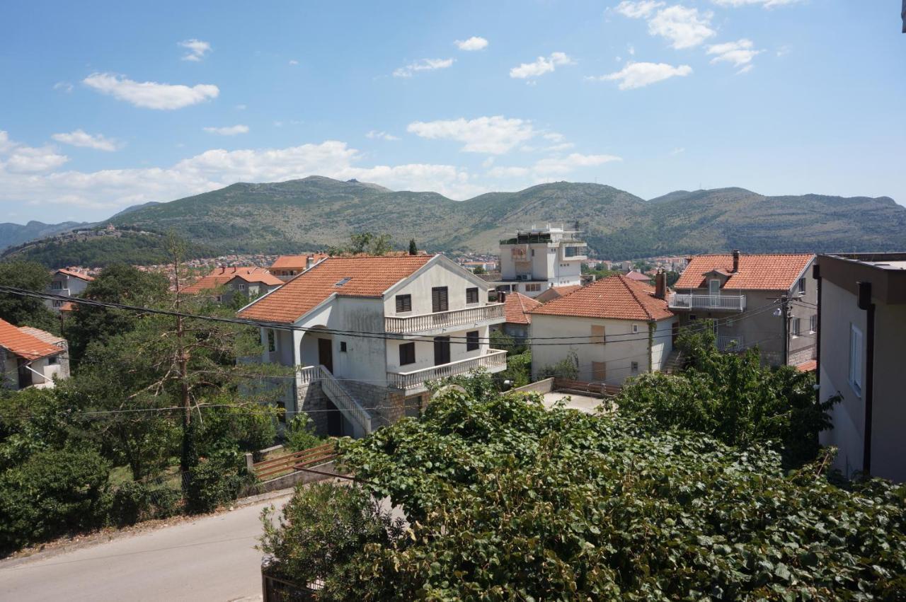 Apartments Bozic Τρέμπινιε Εξωτερικό φωτογραφία